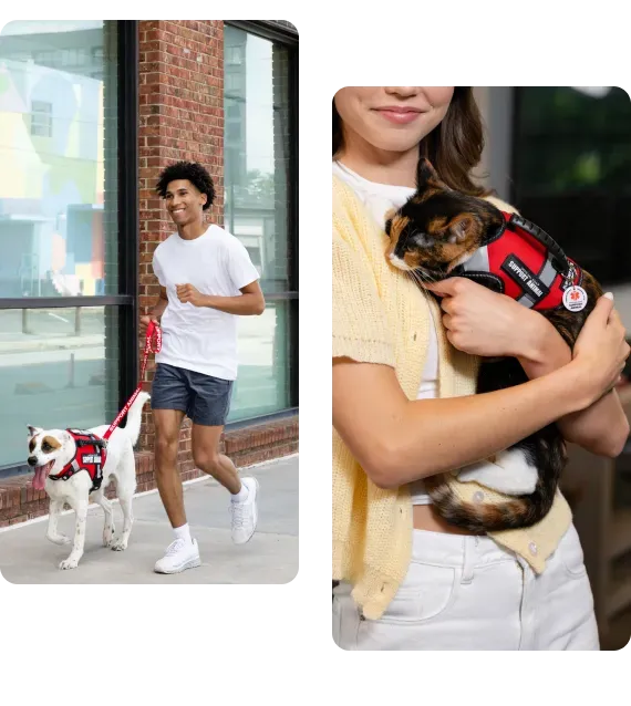 A man jogging with his support dog on a leash alongside a woman holding her cat in a support animal vest
